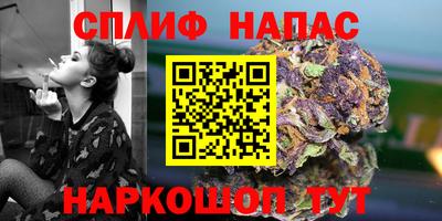 шишки Баксан